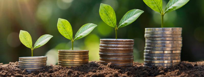 The Carbon Border Adjustment Mechanism (CBAM): Practical Guide for Northern Ireland Businesses - Omagh