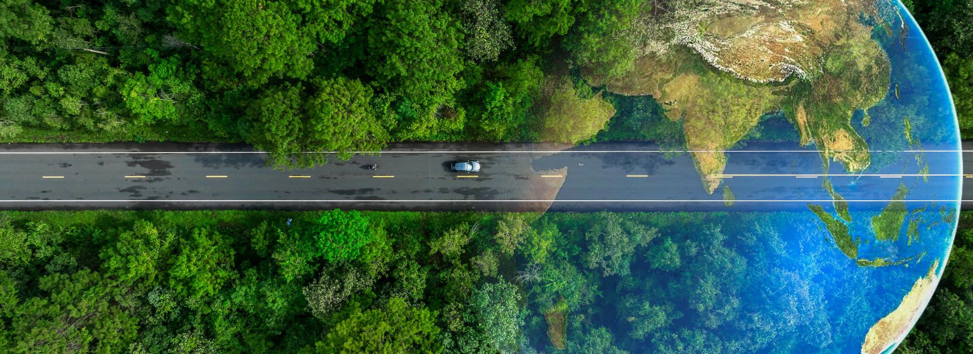 Cultural Change for Green Transition Top Image